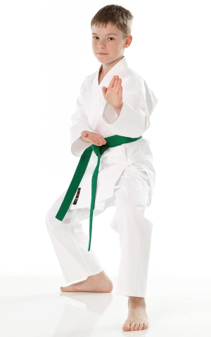 Tokaido Shoshin