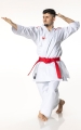 Tokaido Kata Master Duo