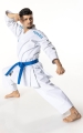 Tokaido Kata Master Duo