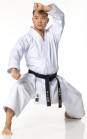 Tokaido Master Sen