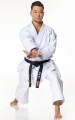 Tokaido Master Sen