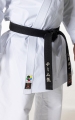 Tokaido Master Sen