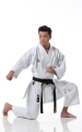 Tokaido Kata Master