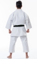 Tokaido Kata Master Japan Style