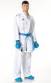 Tokaido Kumite Master K1