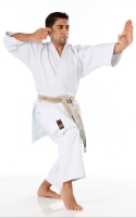 Tokaido Yakudo, made in Japan