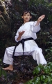 Tokaido Yakudo, made in Japan