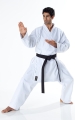 Tokaido Tsunami Gold, 14 oz.